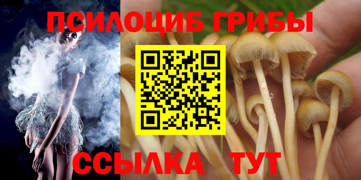 Галлюциногенные грибы Psilocybe Белая Калитва
