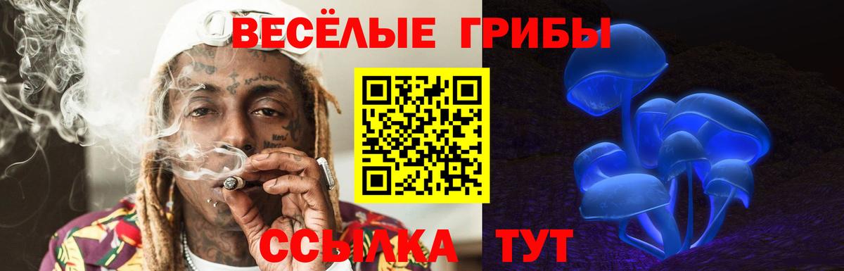 Галлюциногенные грибы Psilocybe  Вход с VPN  Белая Калитва 